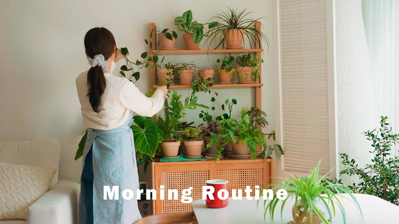 [Влог] Утренняя рутина домохозяйки, которая встает рано утром / Полезный сэндвич, уход за растениями