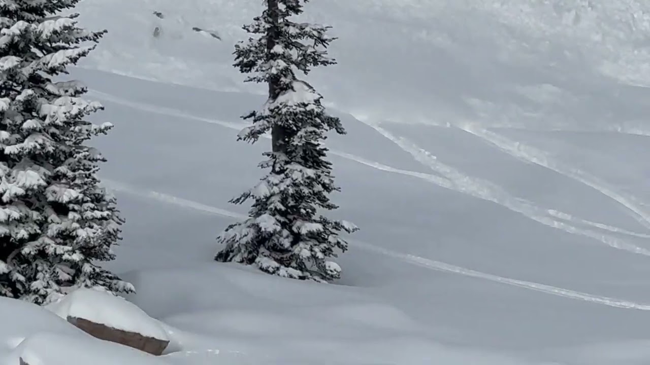 Steep Hollow Avalanche Accident