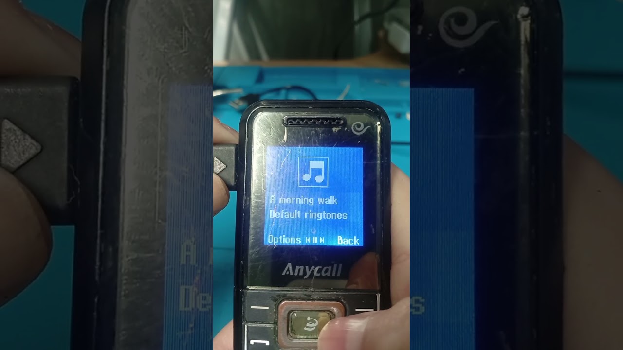 Samsung anycall SCH-B309 Chinese version #edit 