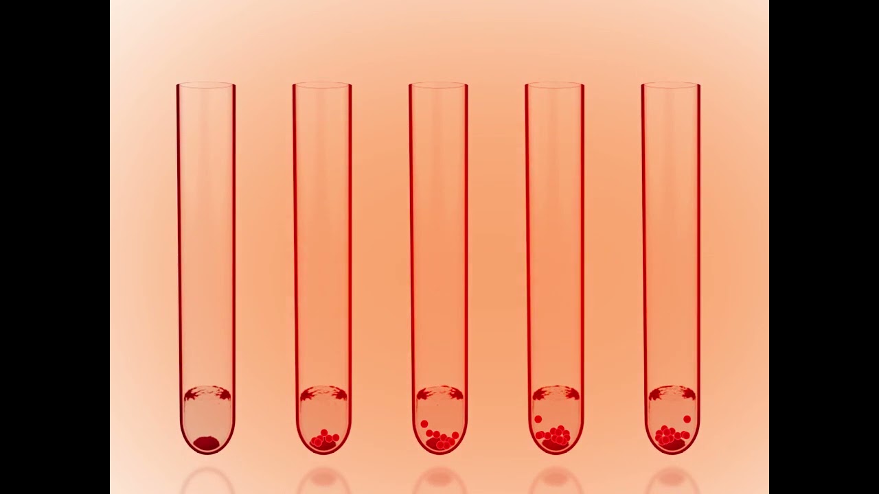 Drug Binding Assay