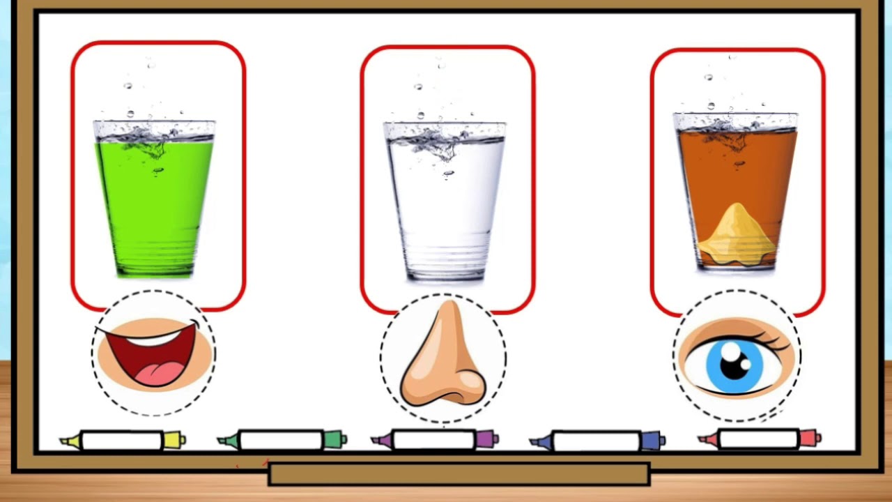 تمهيدي   مهاراتي  وحدة الماء  الماء أساس الحياة