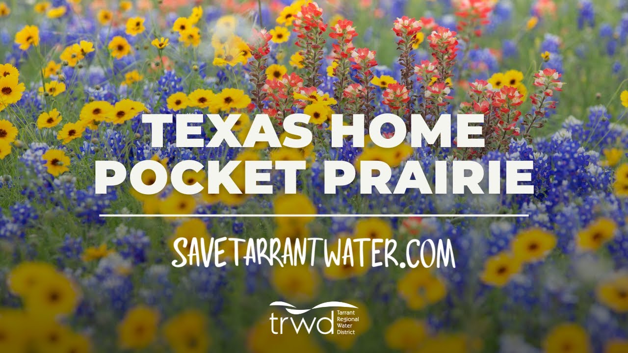 Texas Home Pocket Prairie