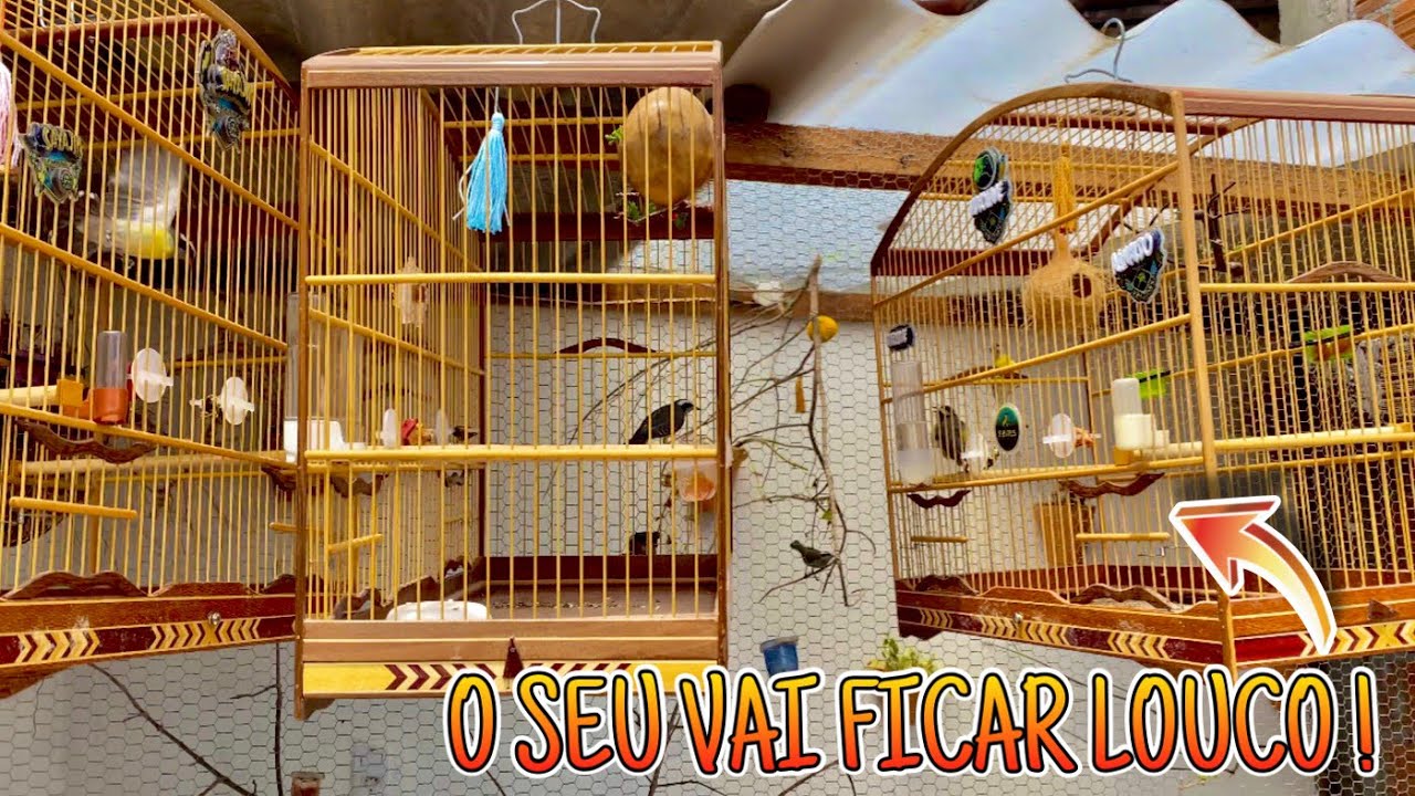 🔥 FOGUEI O SEU SIBITE EM 10 MINUTOS ! 🔥