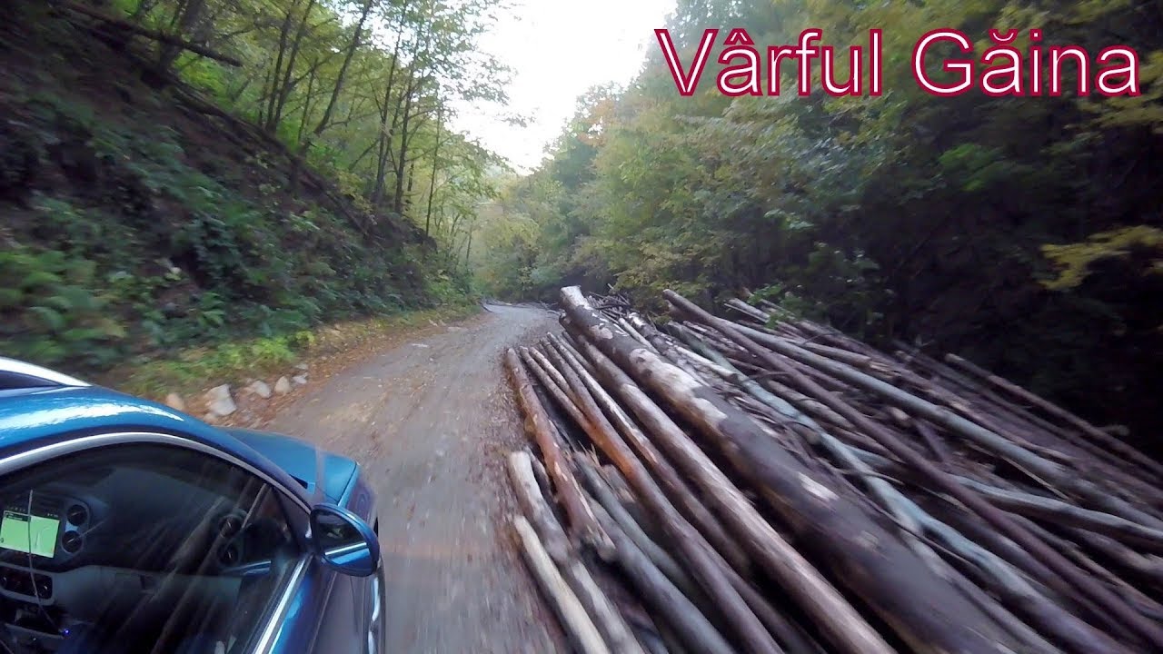 Traseu V&acirc;rful Găina Part 5 (cobor&acirc;re) - Octombrie 2019 - Tiguan 4motion Offroad