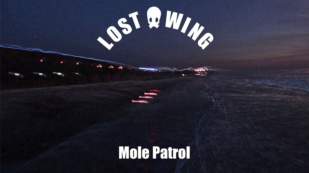 Mole Patrol
