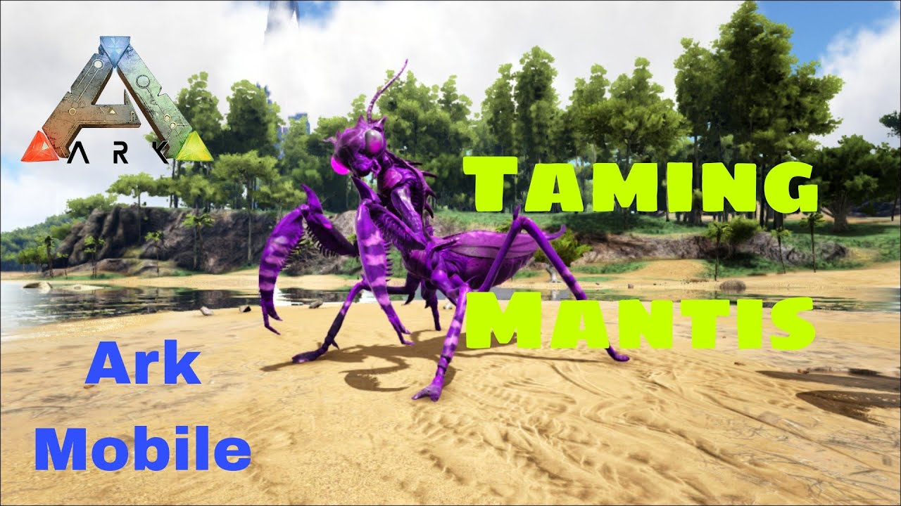 Taming Mantis||How To Tame Mantis Ark Ultimate Survival Mobile Edition How To Tame Mantis #arkmobile