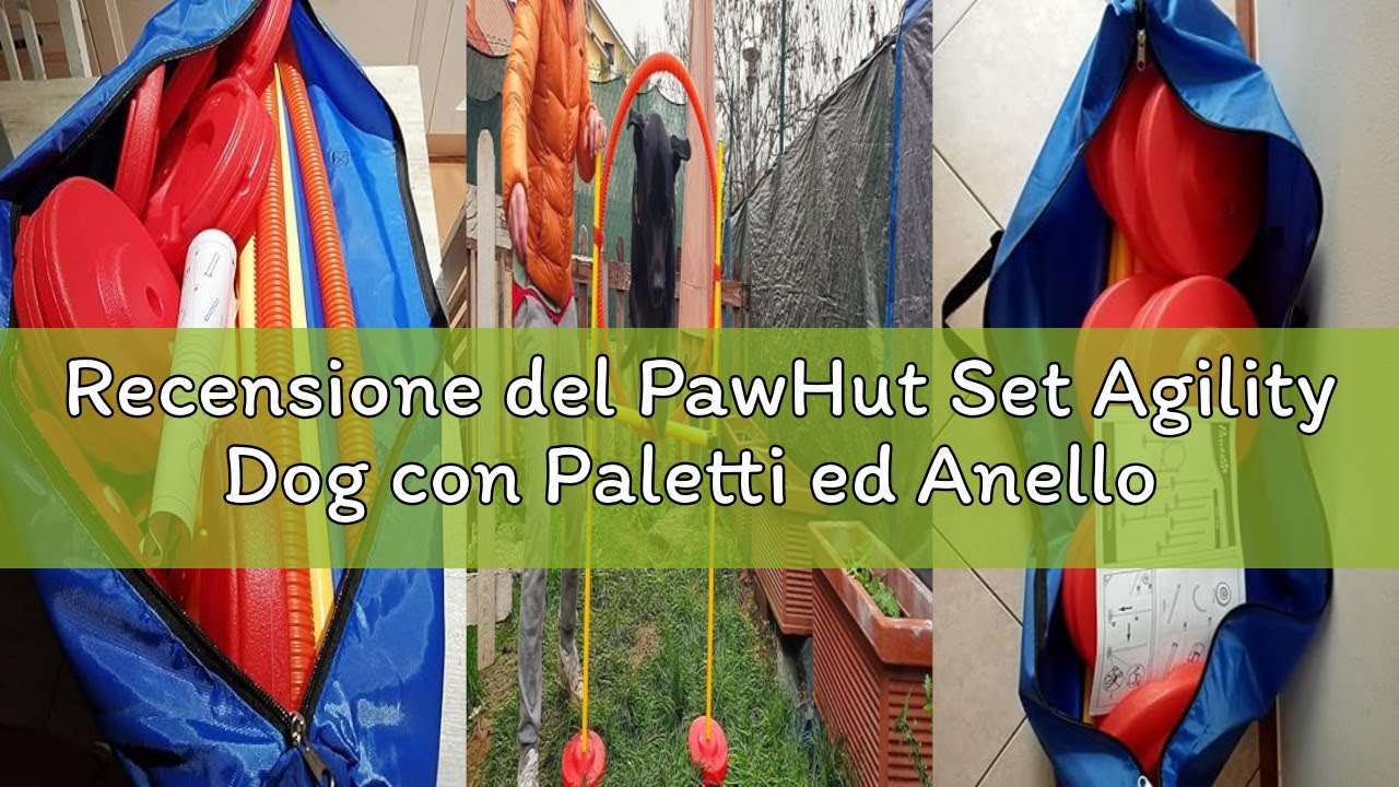 Recensione del PawHut Set Agility Dog con Paletti ed Anello Regolabile per Addestramento Cani