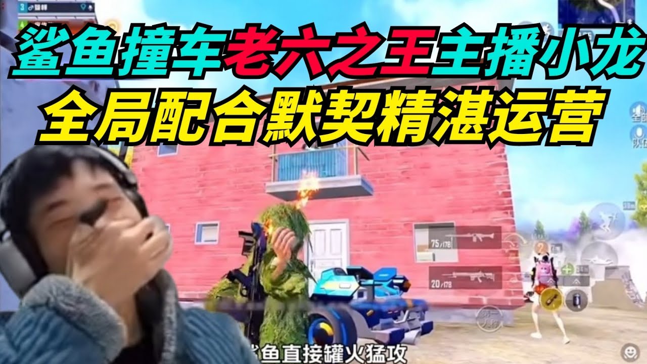 和平精英：鲨鱼撞车主播小龙，最强老六组合全局配合默契能否吃鸡