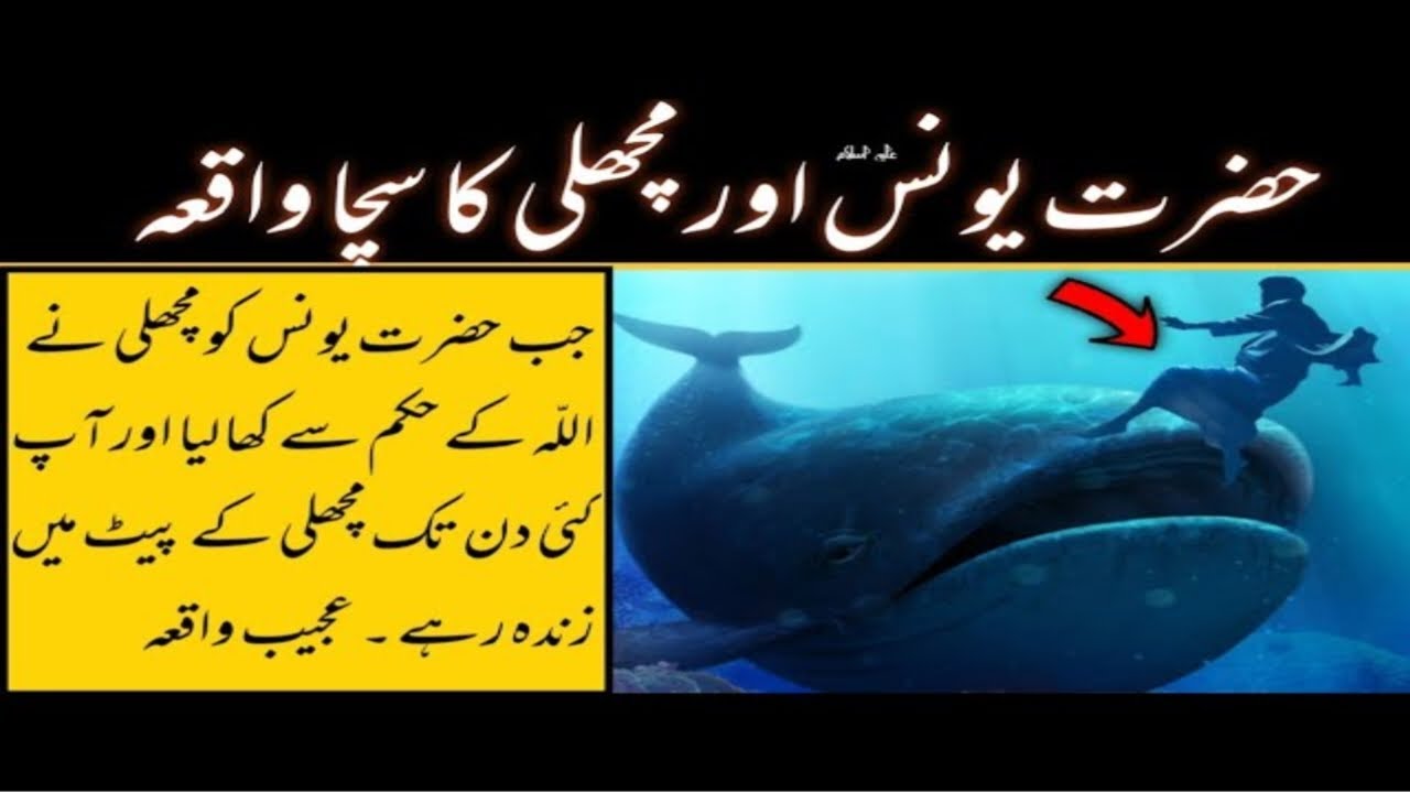 The story of prophet hazarat younas (as) | حضرت یونسؑ کا مچھلی کے پیٹ میں قیام | Quran Story in Urdu