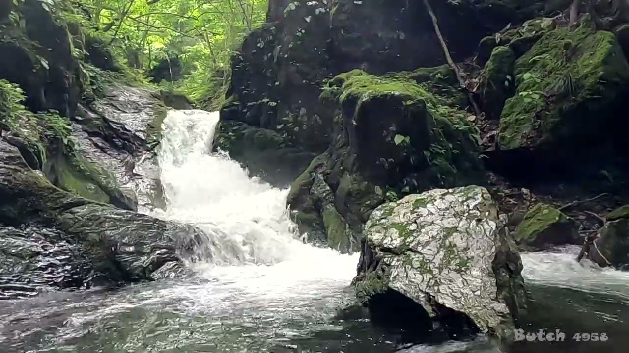 【528-04】【ネジレ滝 上流滝 梅沢四滝】【東京都 奥多摩町】 【ブッチの3分タッキング】【202305】【1080ｐ60fps】【Japan waterfalls】