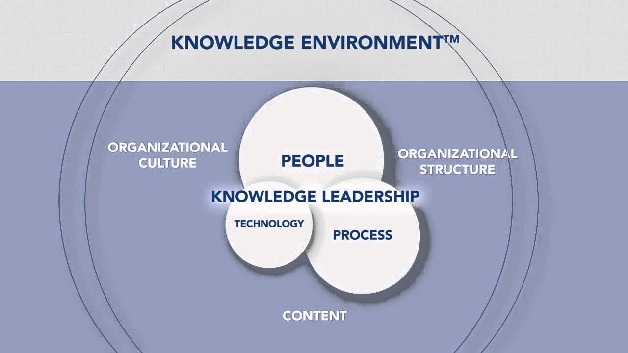 The Knowledge Environment
