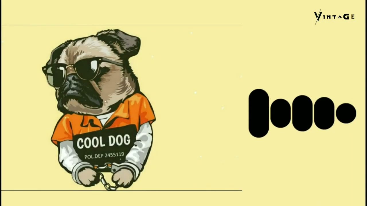 CJ whoopty - Ringtone | V I N T A G E #bgm #ringtones #vintage #attitude #vintagechannel