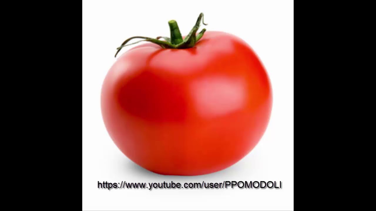 ASMR PPOMO singing Evangelion Opening