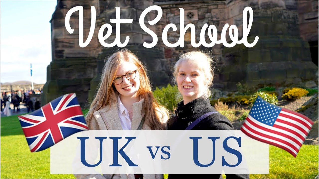 VET SCHOOL in the UK vs US | BellaVet