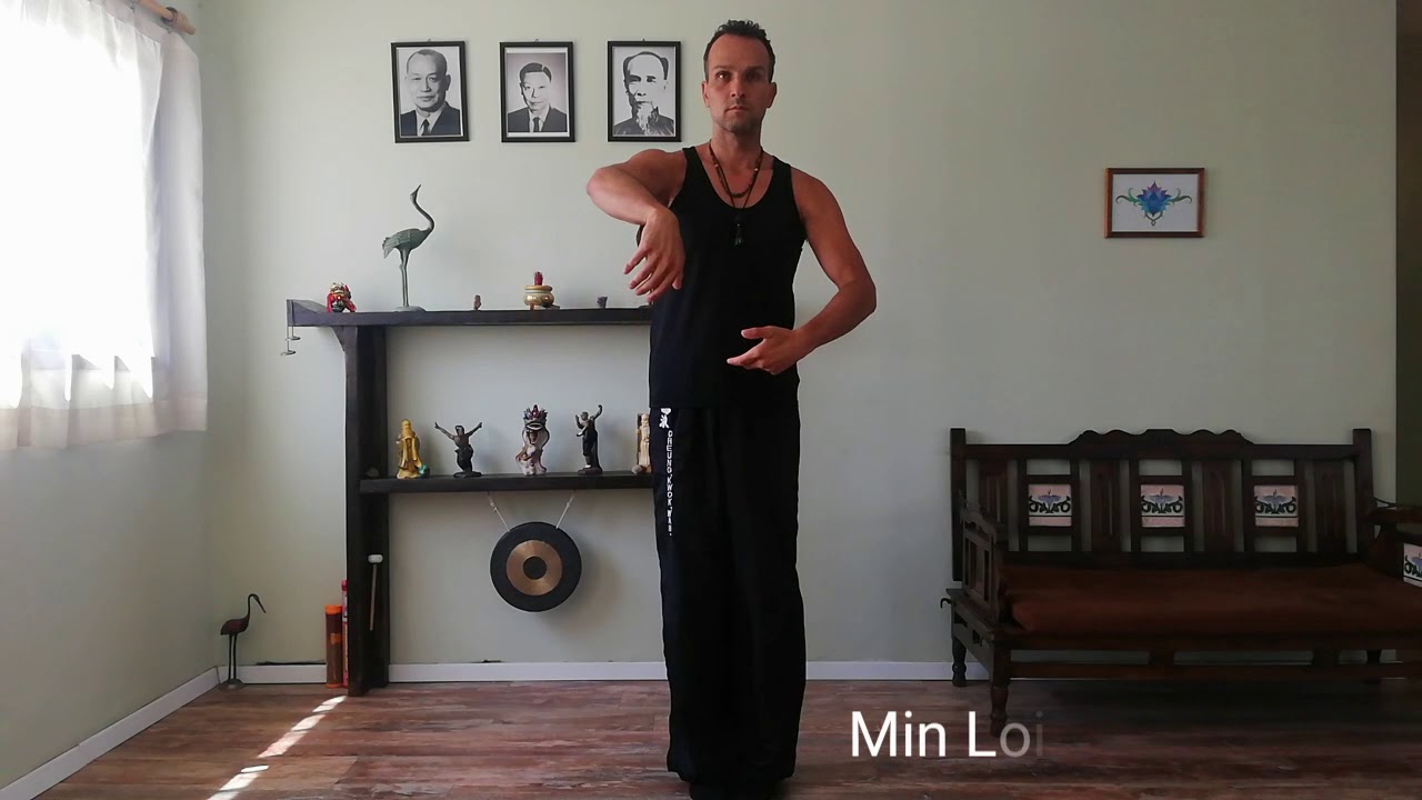 Pak Hok Pai - Tibetan White Crane - Min Loi Chum Sau
