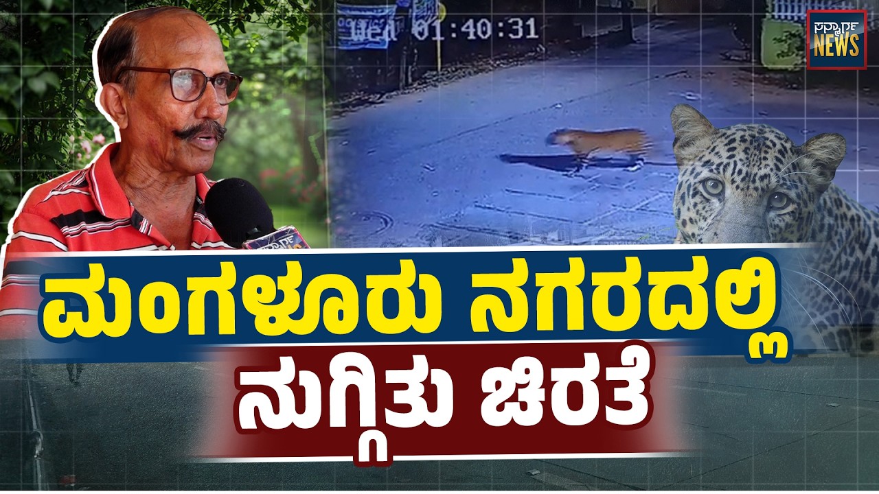 ಕಾಡಂಚಿನ  ನಾಡು ಬಿಟ್ಟು ಮಂಗಳೂರು ನಗರಕ್ಕೆ ಹೇಗೆ ಬಂತು ಆ ಚಿರತೆ? Leopard | Mangalore | SANMARGA NEWS