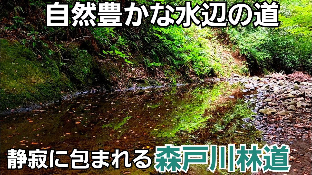 静寂の森戸川林道から二子山へ！【逗子葉山】