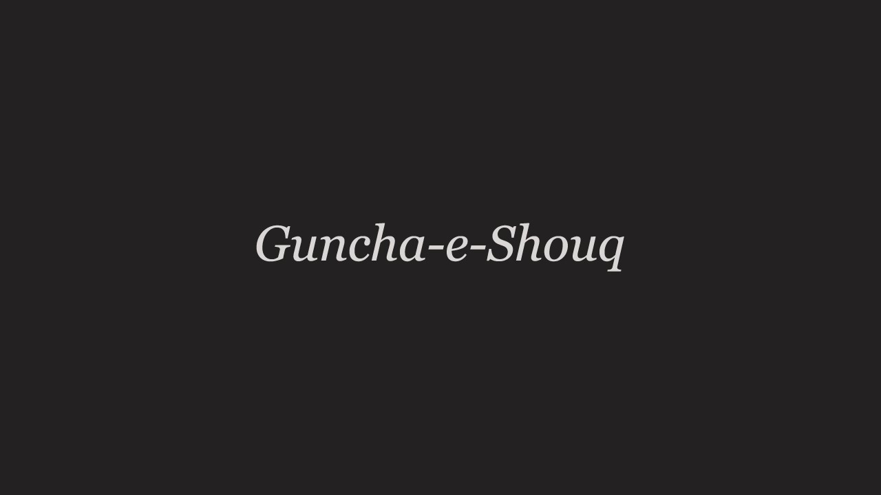 DJ Syed Ali Husnain : Guncha-e-Shouq - 12-feb-2013