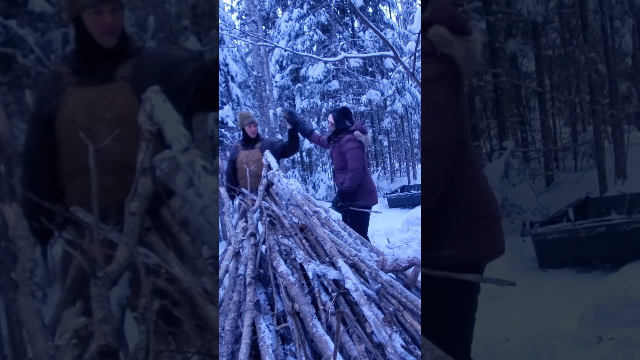 #ПриманкаВолка, ПЯТЬ БАЛЛОВ 🙏🐺🍖