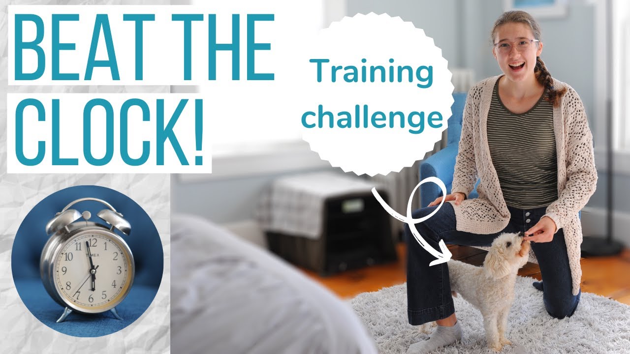 CAN I TEACH ROSCO A NEW TRICK IN 15 MINS?! | Training My Maltipoo to Walk Through My Legs Challenge