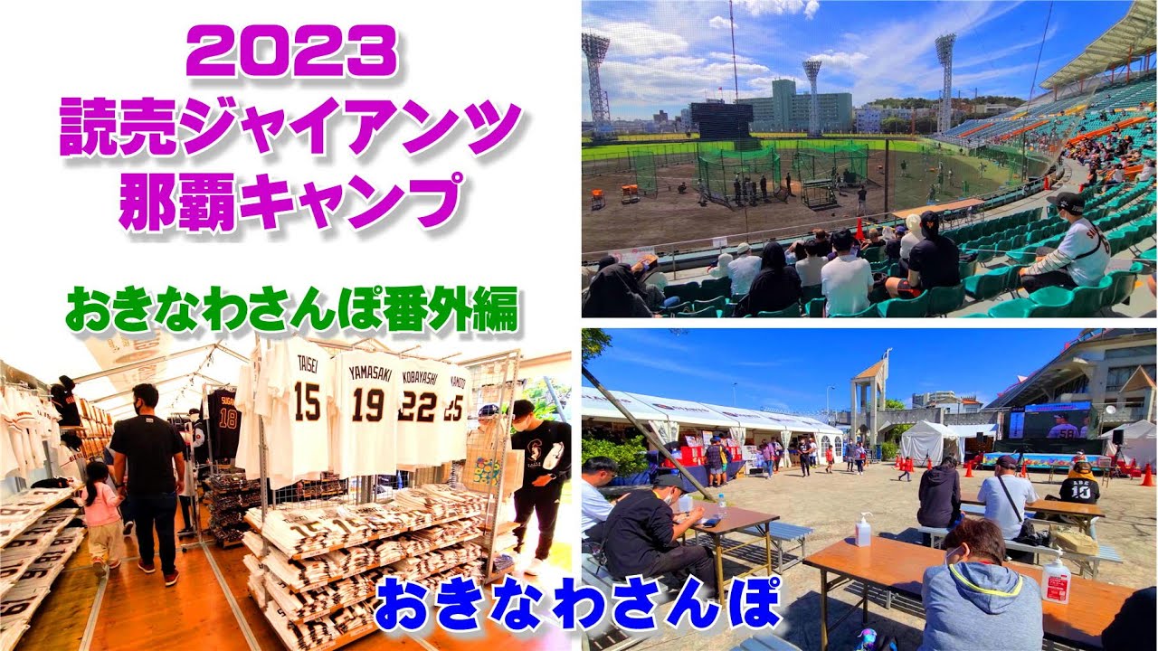 ◤沖縄観光：番外編◢  読売ジャイアンツ那覇キャンプ2023 ♯464  沖縄旅行 おきなわさんぽ 沖縄散歩