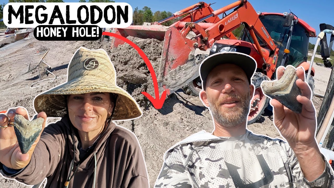 BONE VALLEY FOSSIL FARM | Finding Megalodon Shark Teeth in Florida!