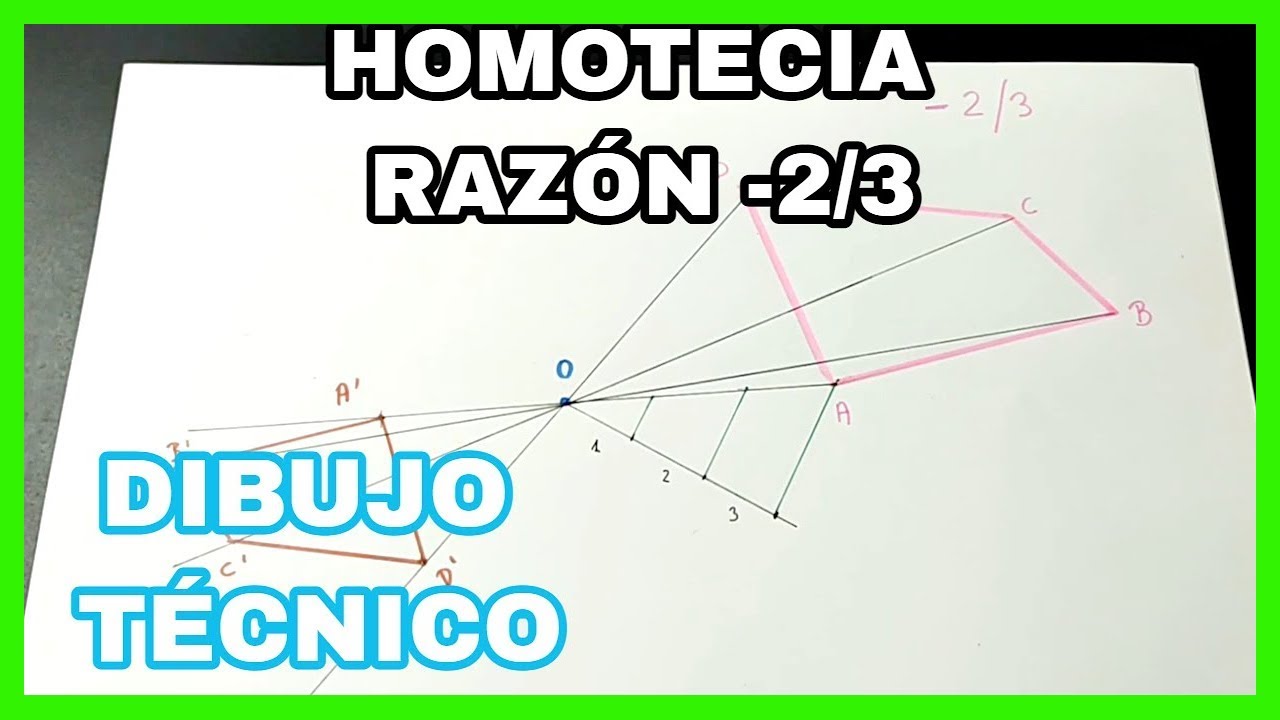 HOMOTECIA - figura🔥 [razón -2/3]✅