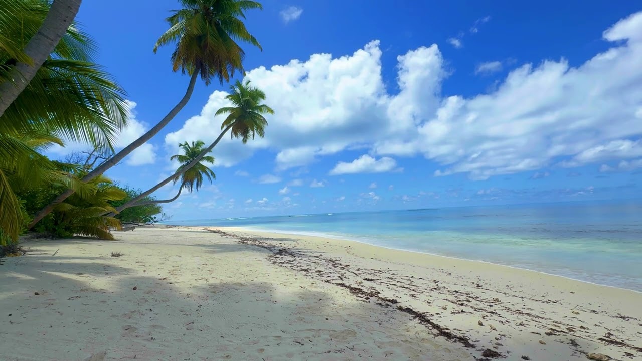 Soothing Waves 🌊 8D EMDR Bilateral Stimulation Beach ASMR for Anxiety, PTSD, Sleep #emdrtherapy