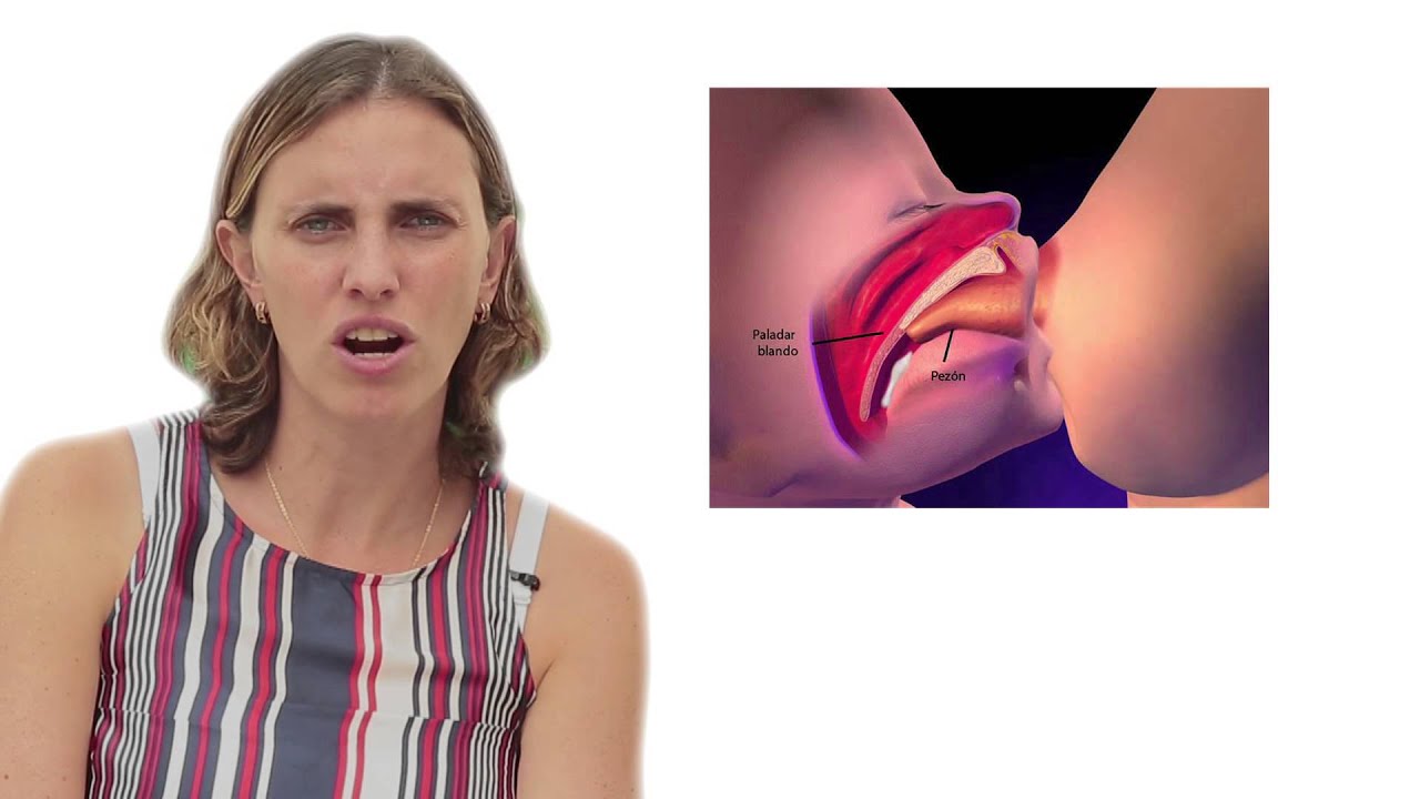 El dolor y como remediarlo, Dra. Nicole Zaltzman, Pediatra Certificada en Lactancia Materna