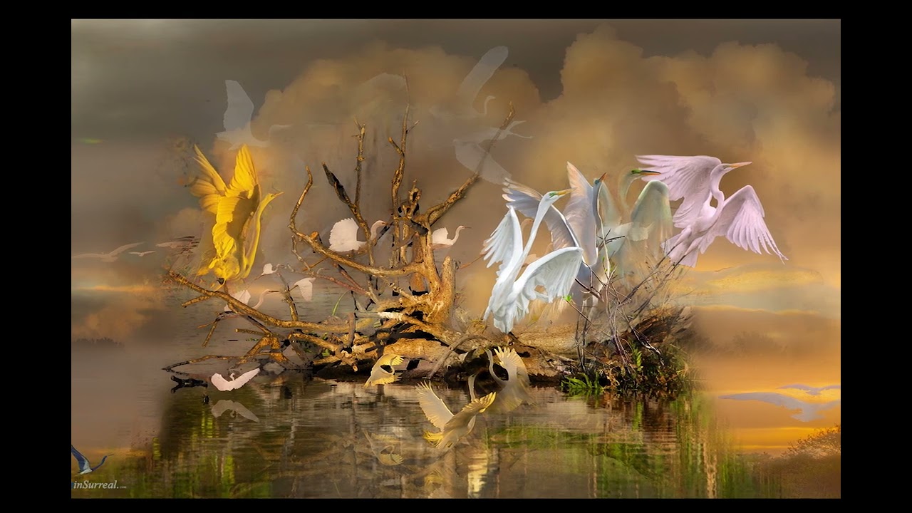 mm 934 32x85 It's SuRReal by Meir Martin