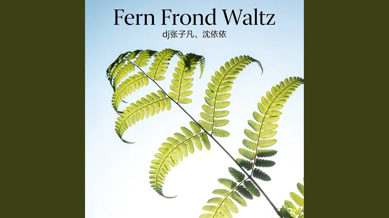 Dance with the Static