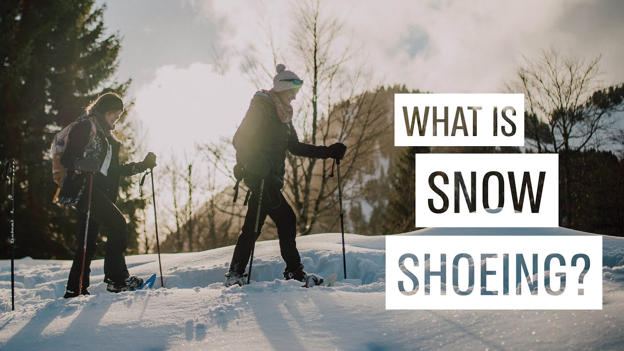 What is Snowshoeing? Useful Tips For Beginners