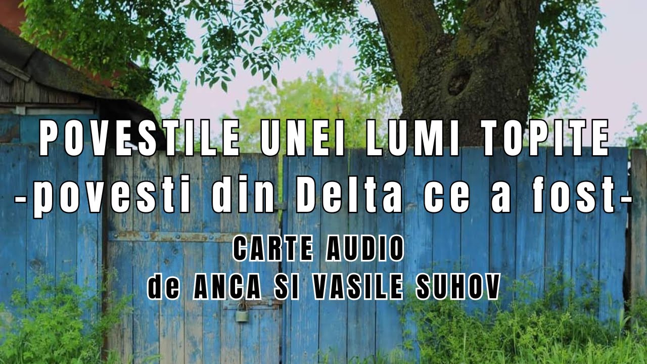 Povestile unei Lumi Topite | Anca si Vasile Suhov | Carte Audio