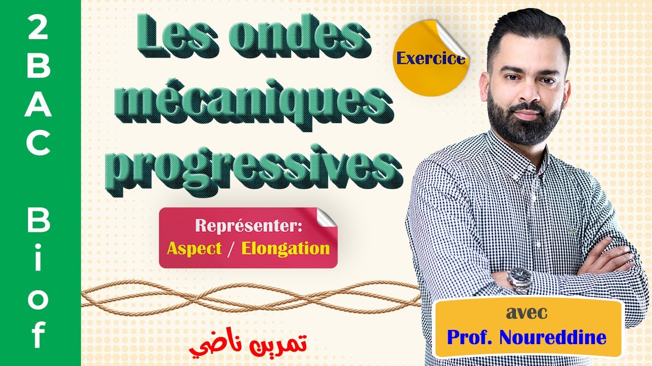 2BAC Biof | Les ondes mécaniques progressives: Exercice + Correction - avec Pr. Noureddine