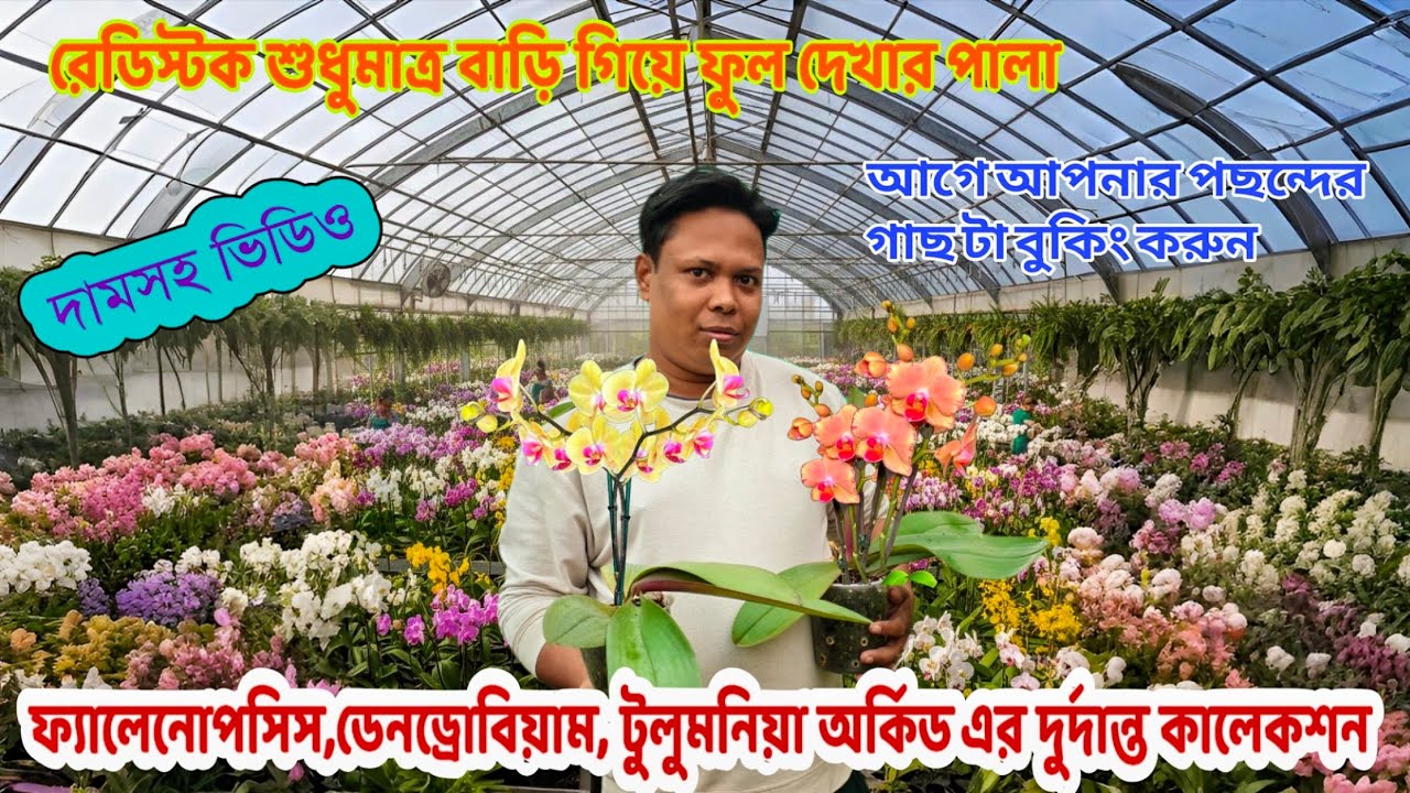 ফ্রেশ অর্কিড কম দামে বাড়িতে বসেই পাবেন ফুল সহ গাছ তাড়াতাড়ি করুন / Orchid Nursery visit in kolkata