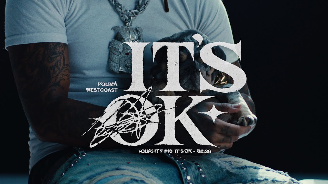 Polima Westcoast - It's Ok (Visualizer)