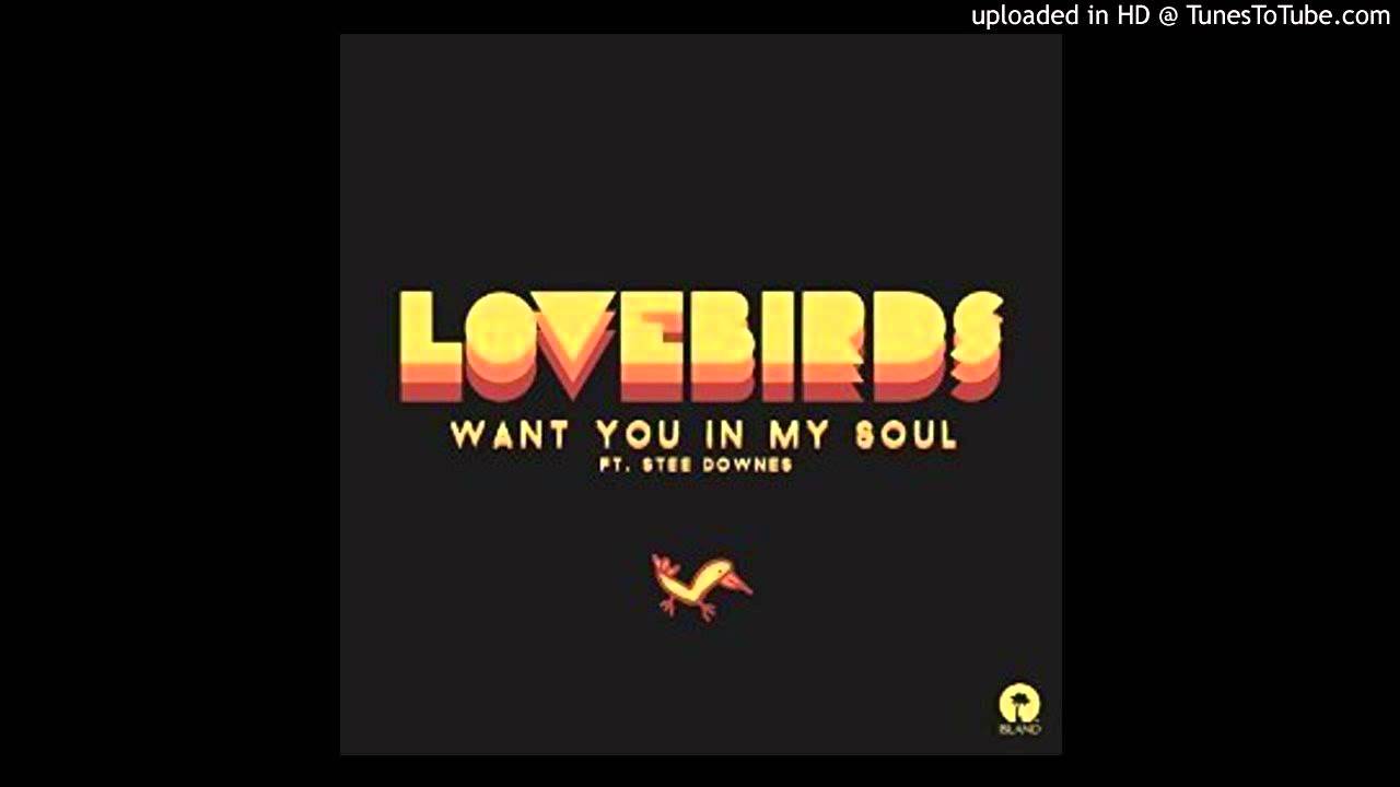 Want You In My Soul (Shiba San Remix) [feat. Stee Downes] - Lovebirds
