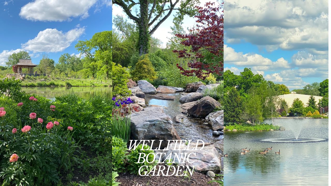 Wellfield Botanic Garden in Elkhart❤️🇺🇸 vlog 33