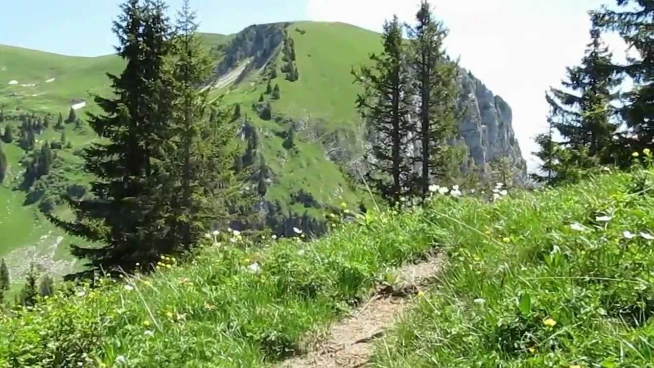Walopsee Bergtour.WMV