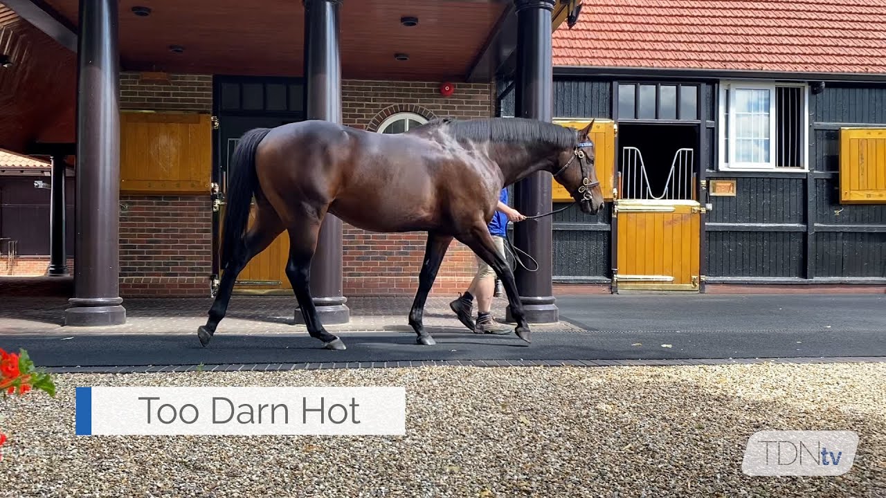 Global Expectations for Too Darn Hot