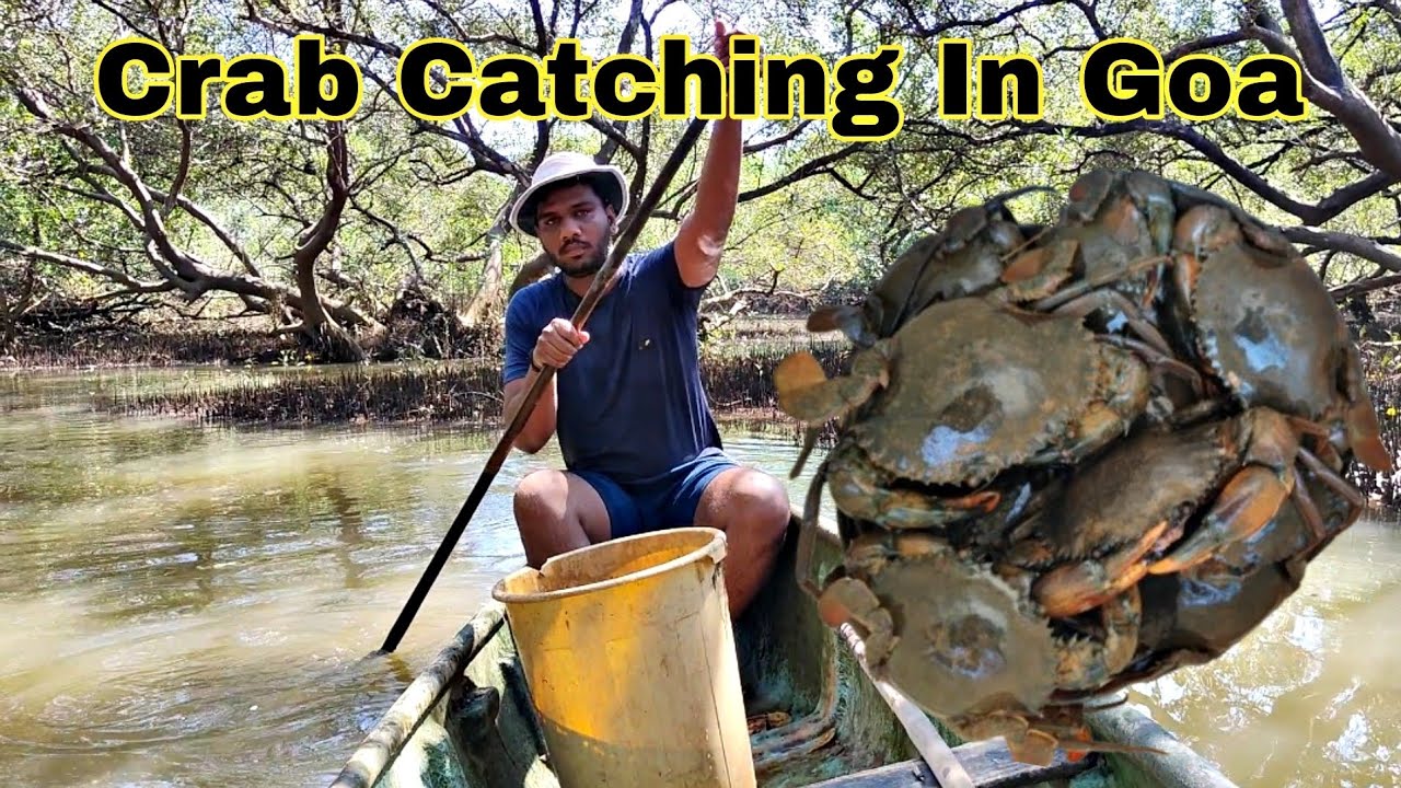 FISHING IN GOA || Crab Catching In Goa 🦀 ||Crab Catching Adventure