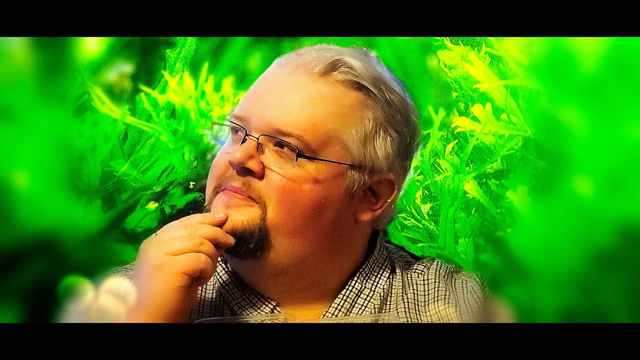 What if You Could Only Have One Tank? - Tuesday Weekly Live Stream and Q&A