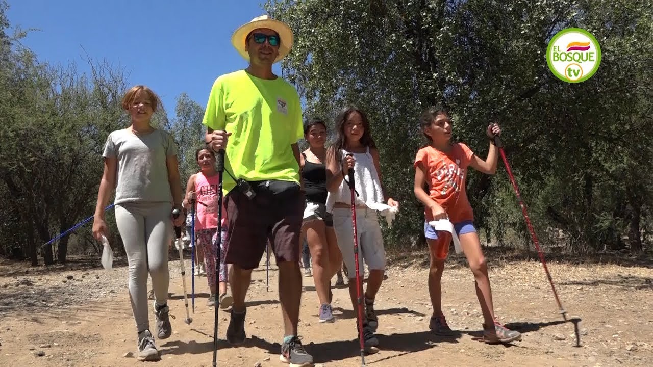 ¡Vacaciones para todos y todas!: Campamento de Verano #ElBosque 2019