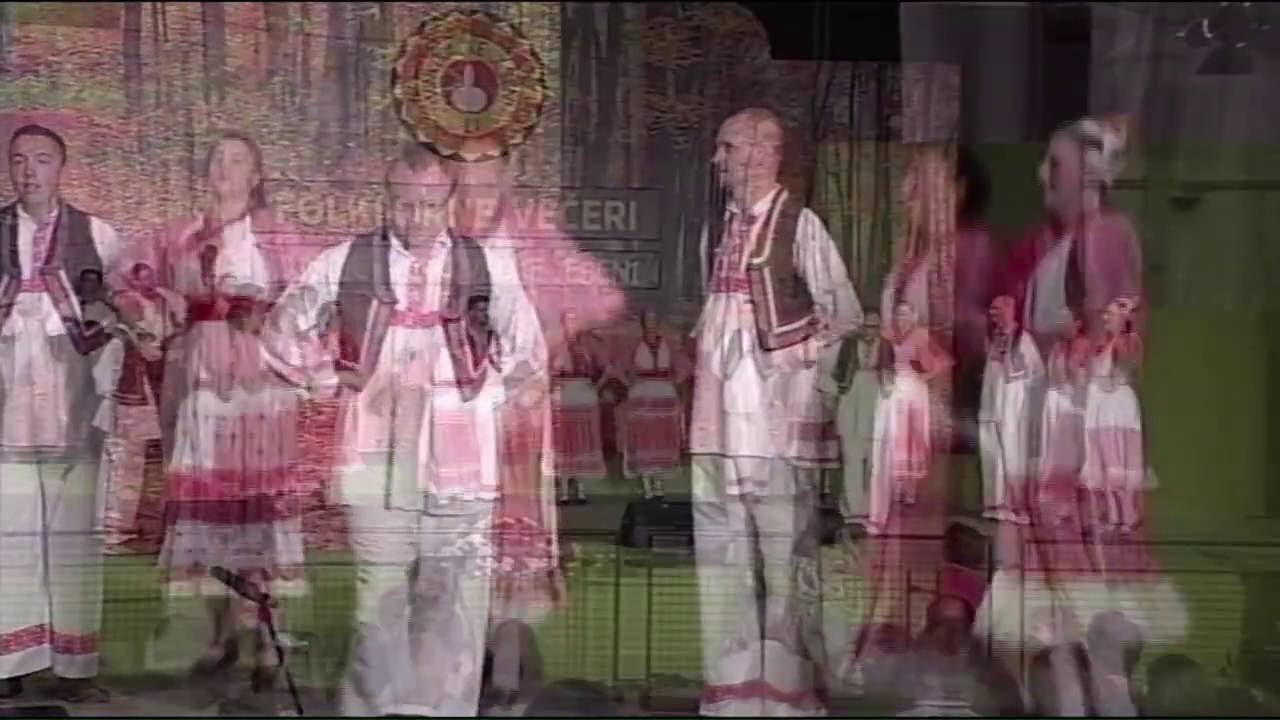 Folklorni Ansambl Lisinski Vinkovci, Posavina