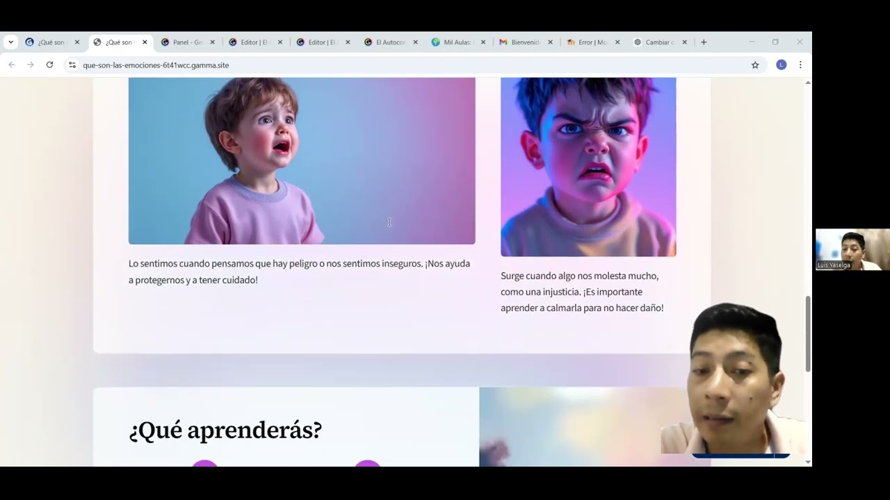 LAs emociones Introduccion
