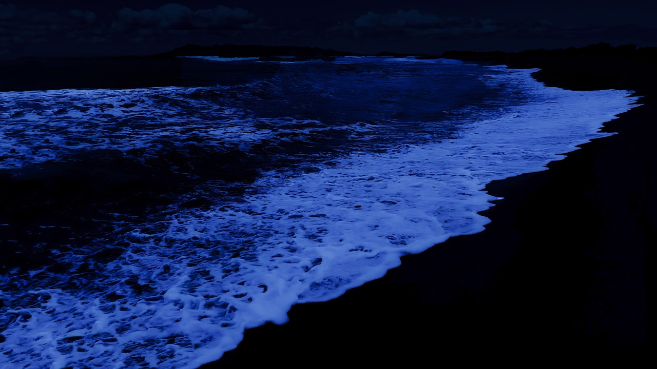 The Sounds for Calm the Mind, Heal Anxiety and Depressive States - Ocean Waves for Deep Sleep