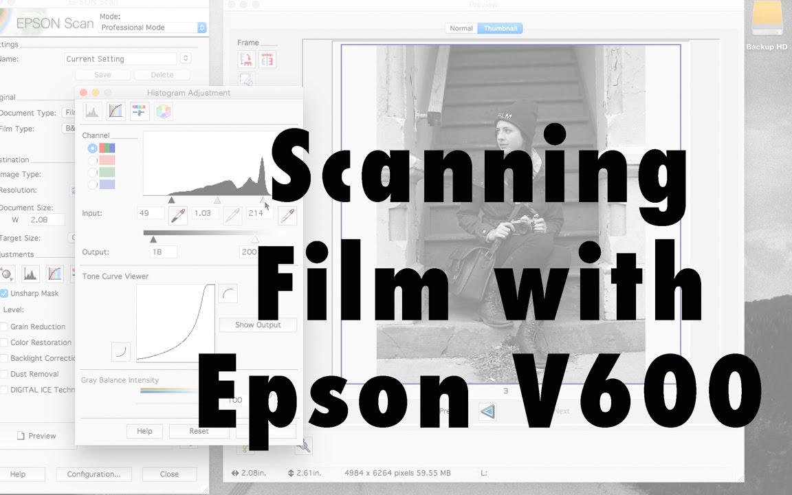 Scanning Film w/ Epson V600