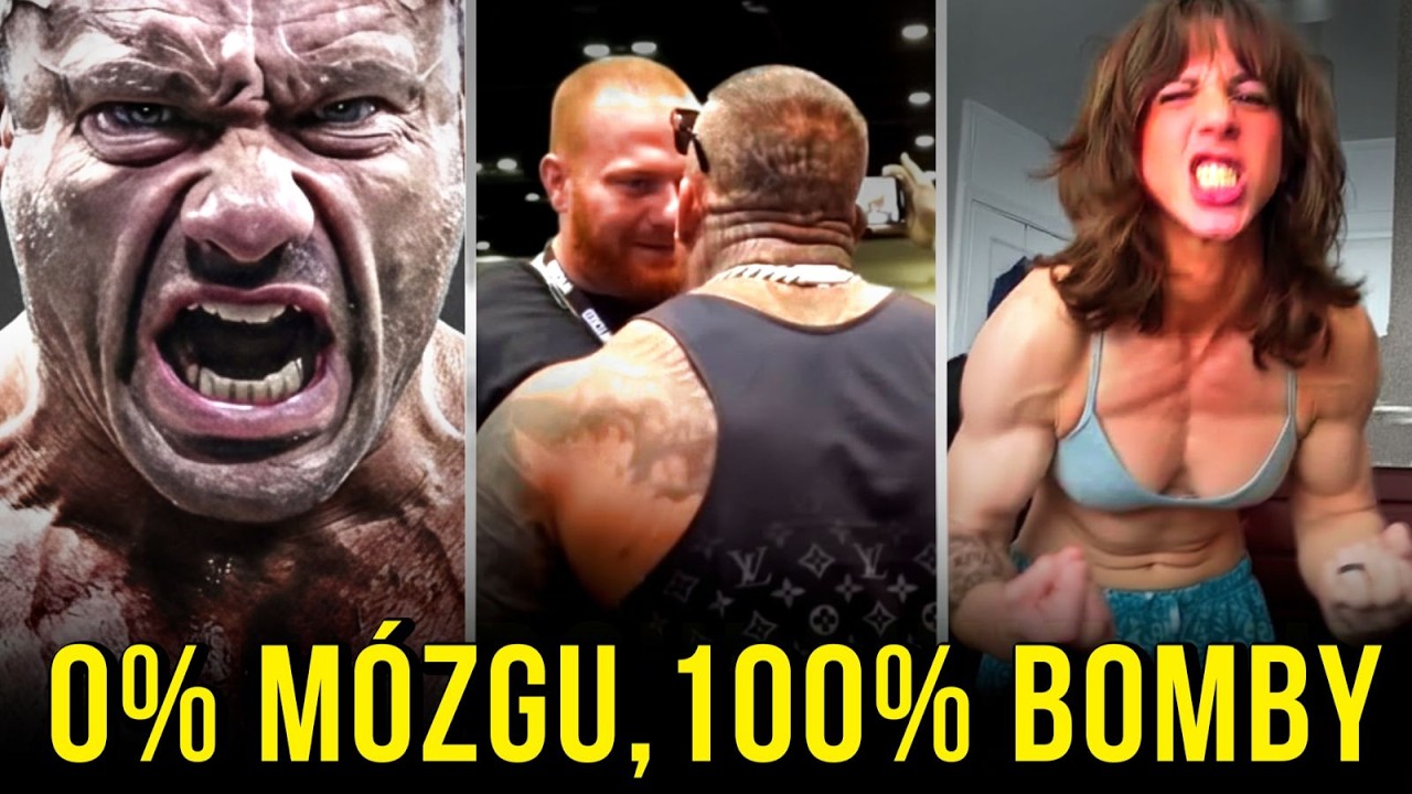 STERYDOWE SZAŁY są CORAZ GORSZE 