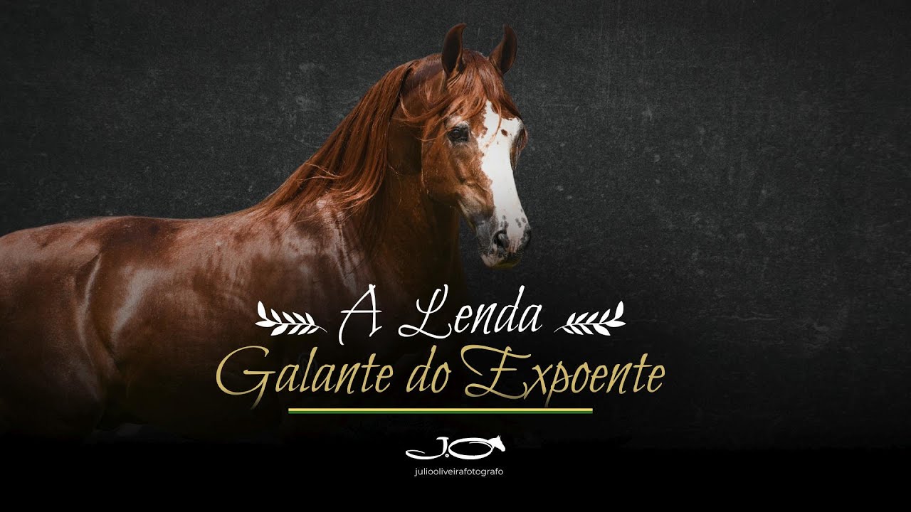 A Lenda - Galante do Expoente