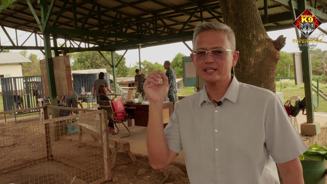 Philippine Coast Guard K9 Buys 252 Dogs From Manalo K9 (Filipino)